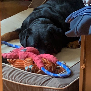 Meet your Posher, Danny